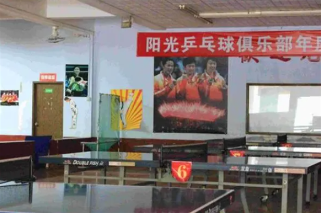 陽光乒乓球俱樂部加盟條件是什么？